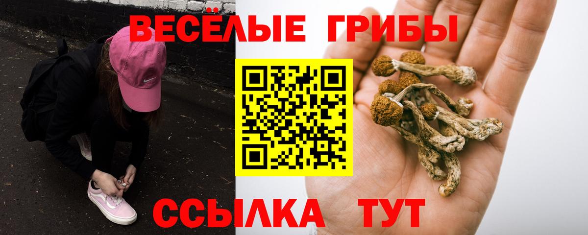 Острогожск  Галлюциногенные грибы Psilocybine cubensis  Псилоцибиновые грибы Magic Shrooms  Вход с VPN 